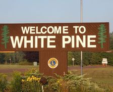 United States Michigan White Pine vacation rental compare prices direct by owner 32383508
