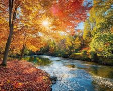 United States Vermont Dorset vacation rental compare prices direct by owner 11480415