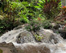 United States Hawaii Honokaa vacation rental compare prices direct by owner 24160537