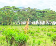 Kenya Nakuru County Kongoni vacation rental compare prices direct by owner 32958520