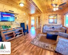 United States Minnesota Kabetogama vacation rental compare prices direct by owner 32640246