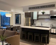 United States Colorado Aspen vacation rental compare prices direct by owner 140192