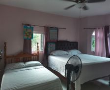 Jamaica St. Elizabeth Parish Santa Cruz vacation rental compare prices direct by owner 24393225