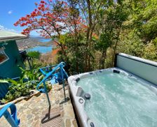 U.S. Virgin Islands St. John Coral Bay vacation rental compare prices direct by owner 11419225