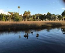United States Florida Steinhatchee vacation rental compare prices direct by owner 379156