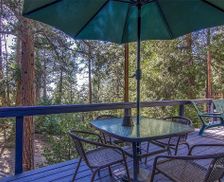 United States California Idyllwild-Pine Cove vacation rental compare prices direct by owner 12019232