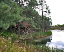 United States Arizona Pinetop-Lakeside vacation rental compare prices direct by owner 10577325