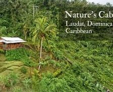 Dominica Saint George Parish Laudat vacation rental compare prices direct by owner 13852893