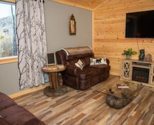 United States New York Downsville vacation rental compare prices direct by owner 29754730