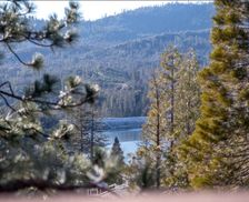 United States California Bass Lake vacation rental compare prices direct by owner 11816950