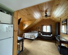 United States New York Old Forge vacation rental compare prices direct by owner 13088910