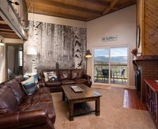 United States Colorado Silverthorne vacation rental compare prices direct by owner 16045528