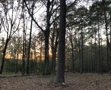 United States Mississippi Forest vacation rental compare prices direct by owner 25508280