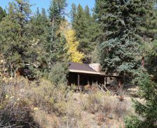 United States Colorado Woodland Park vacation rental compare prices direct by owner 820505