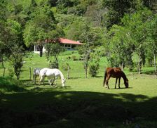 Panama Chiriquí Province Volcán vacation rental compare prices direct by owner 29432380