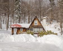 United States Vermont Windham vacation rental compare prices direct by owner 28665500