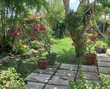 Barbados Christ Church Bridgetown vacation rental compare prices direct by owner 28644588