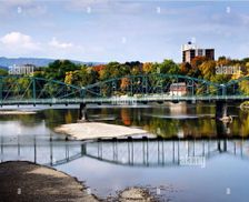 United States New York Binghamton vacation rental compare prices direct by owner 27855935