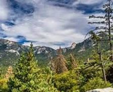 United States California Idyllwild-Pine Cove vacation rental compare prices direct by owner 27405969