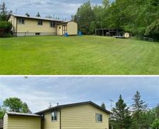 United States Minnesota International Falls vacation rental compare prices direct by owner 28271674