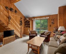 United States Vermont Dover vacation rental compare prices direct by owner 28163417