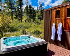 United States Colorado Nederland vacation rental compare prices direct by owner 29504920