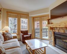 United States Colorado Copper Mountain vacation rental compare prices direct by owner 140549
