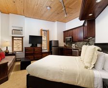 United States Colorado Aspen vacation rental compare prices direct by owner 148076