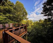 United States North Carolina Asheville vacation rental compare prices direct by owner 32827789