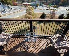 United States South Carolina Greenville vacation rental compare prices direct by owner 32734759