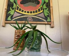 United States Hawaii Volcano vacation rental compare prices direct by owner 26802