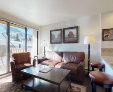 United States Colorado Vail vacation rental compare prices direct by owner 275916