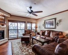 United States Colorado Beaver Creek vacation rental compare prices direct by owner 2421259