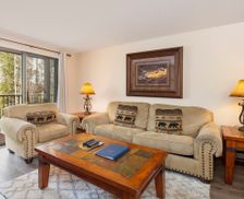 United States Colorado Winter Park vacation rental compare prices direct by owner 2837195