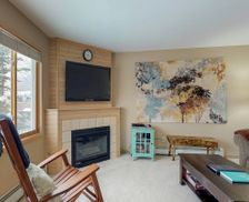 United States Colorado Silverthorne vacation rental compare prices direct by owner 1389411