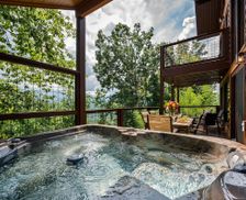 United States Tennessee Gatlinburg vacation rental compare prices direct by owner 206203