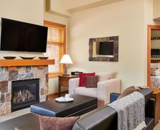 United States Colorado Snowmass Village vacation rental compare prices direct by owner 2676460