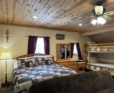 United States Michigan Christmas vacation rental compare prices direct by owner 11394927