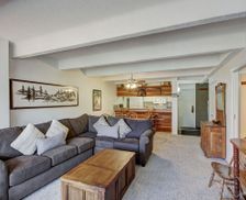 United States Colorado Copper Mountain vacation rental compare prices direct by owner 29883366