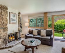 United States Colorado Snowmass Village vacation rental compare prices direct by owner 3413637