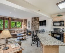 United States Colorado Snowmass Village vacation rental compare prices direct by owner 22644564