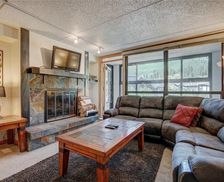 United States Colorado Frisco vacation rental compare prices direct by owner 2838900