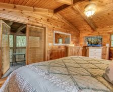 United States Tennessee Sevierville vacation rental compare prices direct by owner 11464560