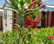 France Provence-Alpes-Côte d'Azur Fréjus vacation rental compare prices direct by owner 10194958