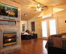 United States Tennessee Gatlinburg vacation rental compare prices direct by owner 2819931