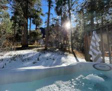 United States Colorado Cascade-Chipita Park vacation rental compare prices direct by owner 10956796