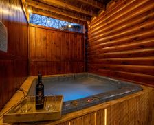 United States Tennessee Gatlinburg vacation rental compare prices direct by owner 25661139