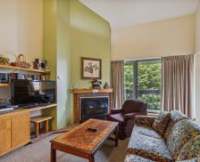 United States Vermont Killington vacation rental compare prices direct by owner 24957049