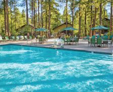 United States Arizona Pinetop-Lakeside vacation rental compare prices direct by owner 29405195