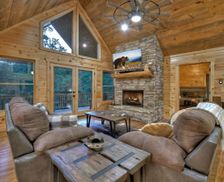 United States Georgia Mineral Bluff vacation rental compare prices direct by owner 26557367